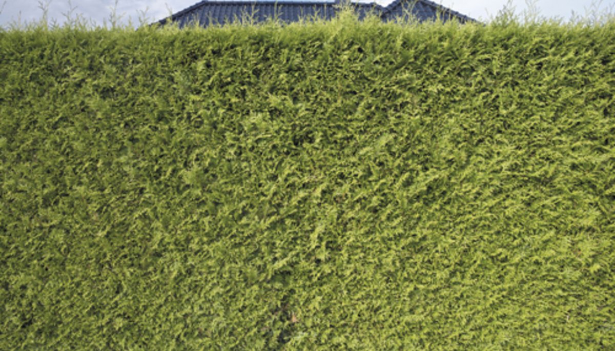 Neue Ausstellung: Fotografien von janKB