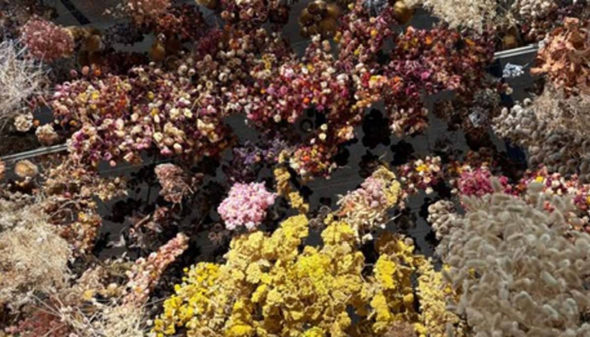 Rebecca Louise Law – „State of Nature”