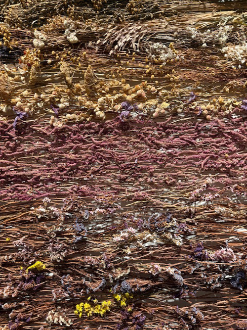 Rebecca Louise Law Gottorf 2026