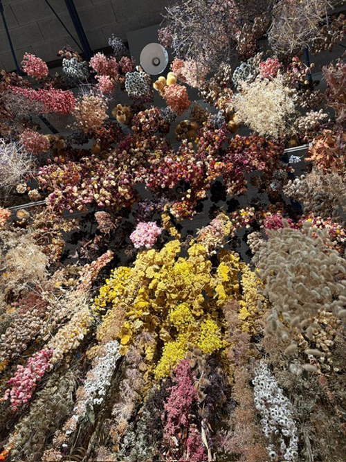 Rebecca Louise Law Gottorf 2026